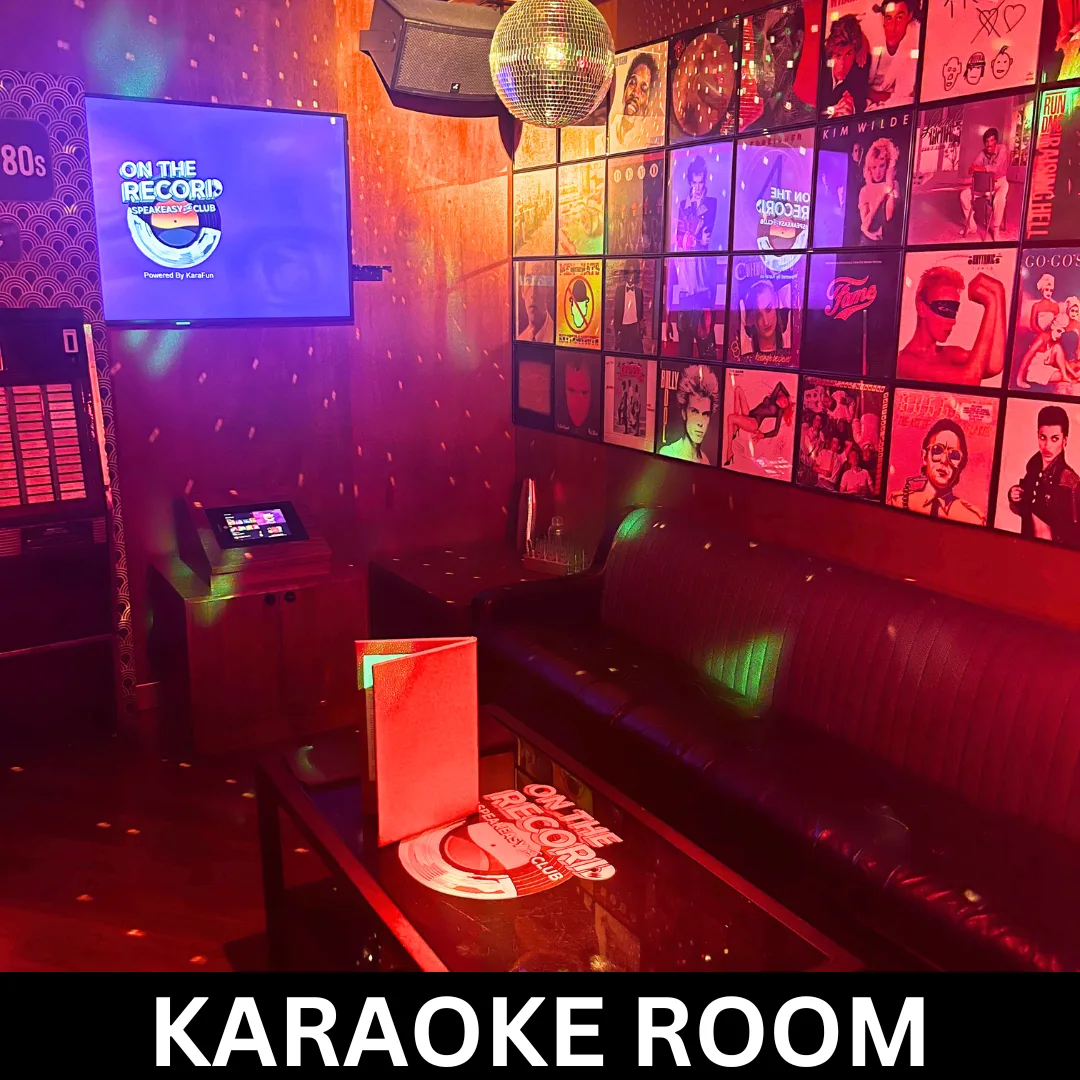 VIP Karaoke Room On The Record Las Vegas