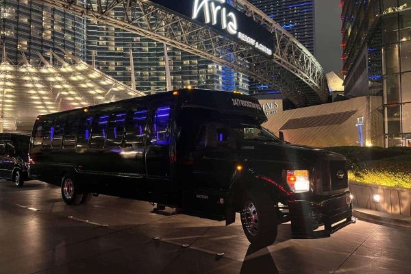 12 pax Sprinter Limo Exterior