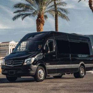 12-pax-Sprinter-Limo-Exterior-1