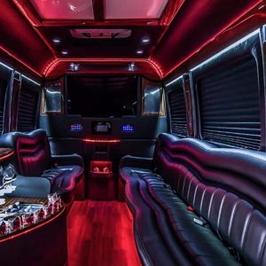 12-pax-Sprinter-Limo-Interior