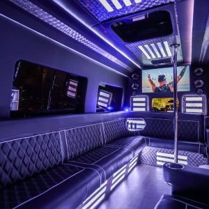 14-pax-XL-Sprinter-Limo-Interior