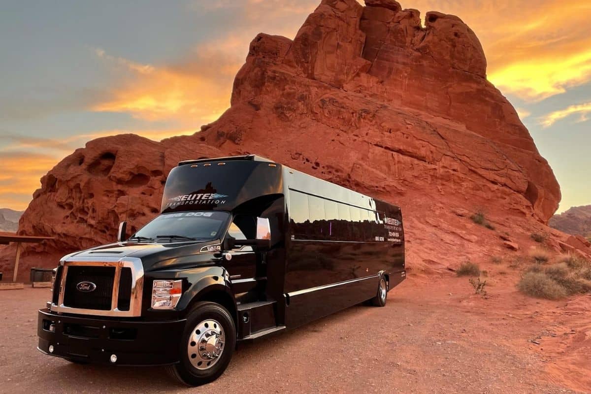 45-Passenger-Las-Vegas-Party-Bus-Nightclub-On-Wheels